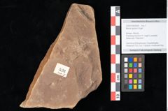 Foto (Objekt + Etikett) von Myrica lignitum Unger (NHMW-GEO-2024-0188-0526)